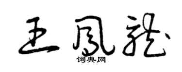 曾慶福王鳳龍草書個性簽名怎么寫