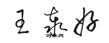 駱恆光王泰好草書個性簽名怎么寫