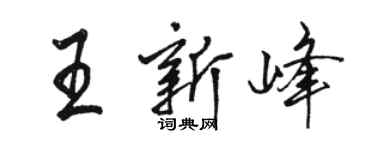 駱恆光王新峰行書個性簽名怎么寫