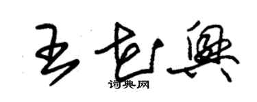 朱錫榮王花興草書個性簽名怎么寫