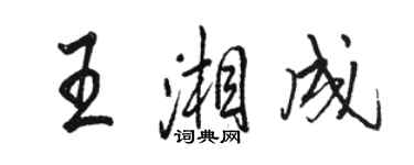 駱恆光王湘成行書個性簽名怎么寫