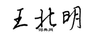 王正良王北明行書個性簽名怎么寫