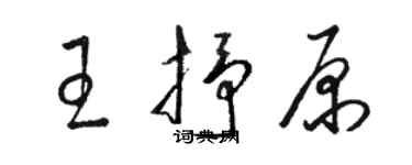 駱恆光王抒原草書個性簽名怎么寫