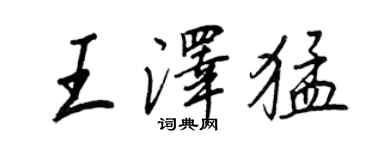 王正良王澤猛行書個性簽名怎么寫