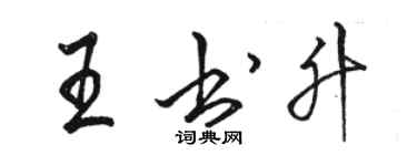 駱恆光王書升行書個性簽名怎么寫