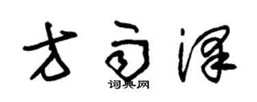 朱錫榮方雨澤草書個性簽名怎么寫