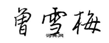 王正良曾雪梅行書個性簽名怎么寫