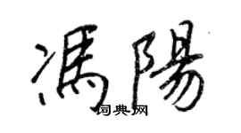 王正良馮陽行書個性簽名怎么寫