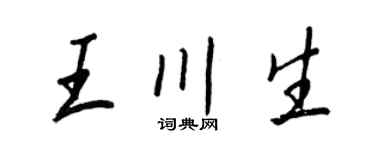 王正良王川生行書個性簽名怎么寫