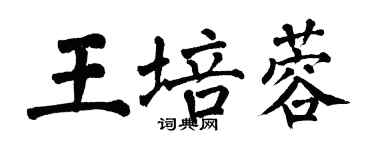 翁闓運王培蓉楷書個性簽名怎么寫