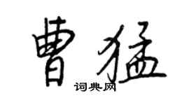王正良曹猛行書個性簽名怎么寫