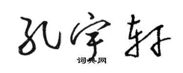 駱恆光孔宇軒草書個性簽名怎么寫