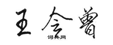 駱恆光王會曾行書個性簽名怎么寫