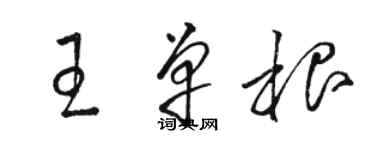 駱恆光王單根草書個性簽名怎么寫