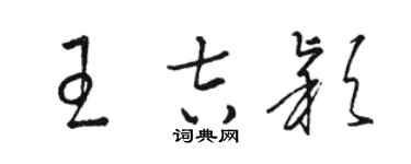 駱恆光王吉穎草書個性簽名怎么寫