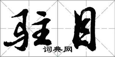 胡問遂駐目行書怎么寫