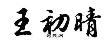 胡問遂王初晴行書個性簽名怎么寫