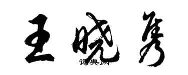 胡問遂王曉雋行書個性簽名怎么寫