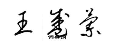 梁錦英王盛蘭草書個性簽名怎么寫