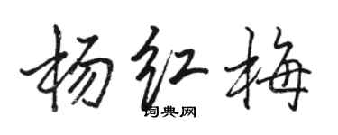 駱恆光楊紅梅行書個性簽名怎么寫