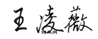 駱恆光王凌薇行書個性簽名怎么寫