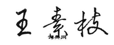 駱恆光王素枝行書個性簽名怎么寫