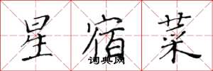 黃華生星宿菜楷書怎么寫