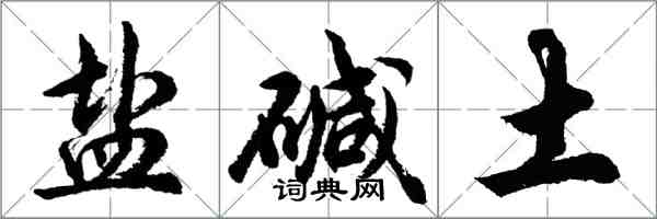 胡問遂鹽鹼土行書怎么寫