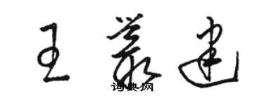 駱恆光王叢建草書個性簽名怎么寫