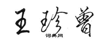 駱恆光王珍曾行書個性簽名怎么寫