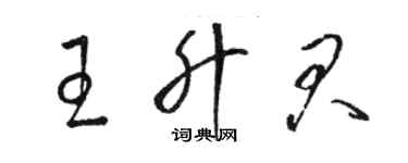 駱恆光王升君草書個性簽名怎么寫