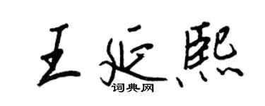 王正良王延熙行書個性簽名怎么寫