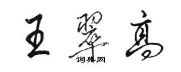 駱恆光王翠高行書個性簽名怎么寫