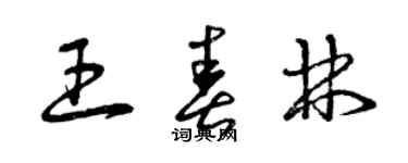 曾慶福王春林草書個性簽名怎么寫