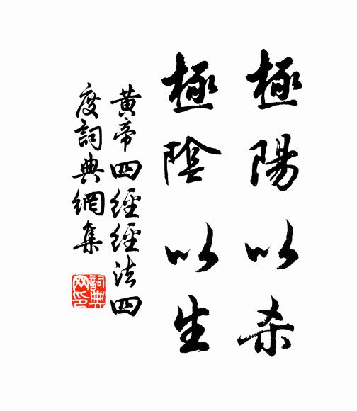 佚名極陽以殺,極陰以生書法作品欣賞