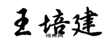 胡問遂王培建行書個性簽名怎么寫