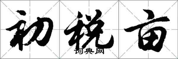 胡問遂初稅畝行書怎么寫