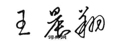 駱恆光王晨翔草書個性簽名怎么寫