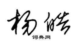 朱錫榮楊皓草書個性簽名怎么寫