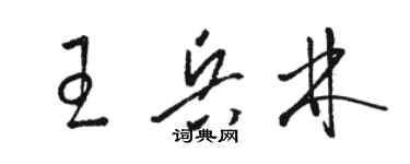 駱恆光王兵林草書個性簽名怎么寫