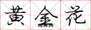 龐中華黃金花行書怎么寫