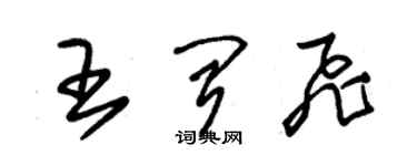 朱錫榮王聞飛草書個性簽名怎么寫