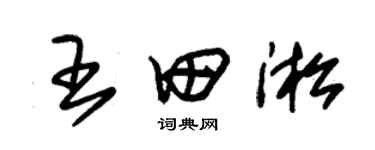 朱錫榮王田淞草書個性簽名怎么寫