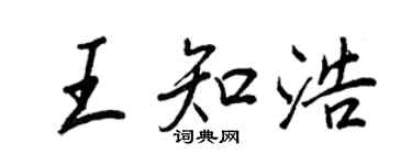 王正良王知浩行書個性簽名怎么寫