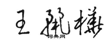 駱恆光王麗樺草書個性簽名怎么寫