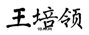 翁闓運王培領楷書個性簽名怎么寫