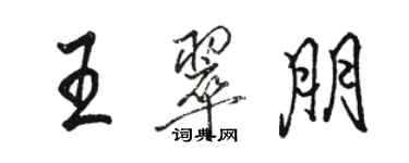 駱恆光王翠朋行書個性簽名怎么寫