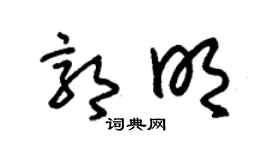 朱錫榮郭明草書個性簽名怎么寫