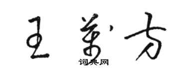 駱恆光王萬方草書個性簽名怎么寫