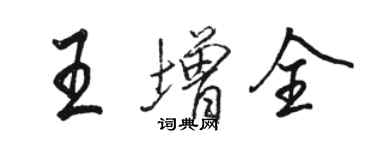 駱恆光王增全行書個性簽名怎么寫